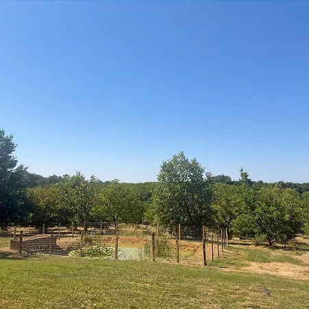 Ferienhaus Prolongez L'ete En Dordogne Piscine, Etangs Et Nature Pour 12 Pers *