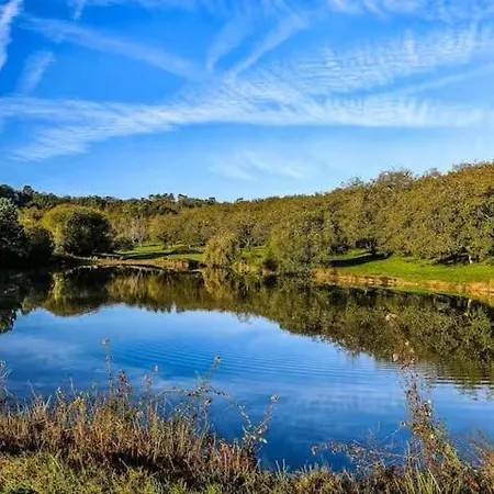 Prolongez L'ete En Dordogne Piscine, Etangs Et Nature Pour 12 Pers * Agonac